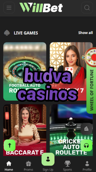 Budva Casinos - Top Montenegro Casinos-www.bdqngd.com